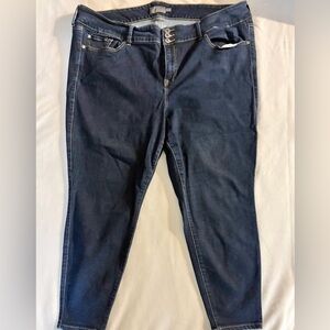 torrid Dark Indigo Skinny Jeans